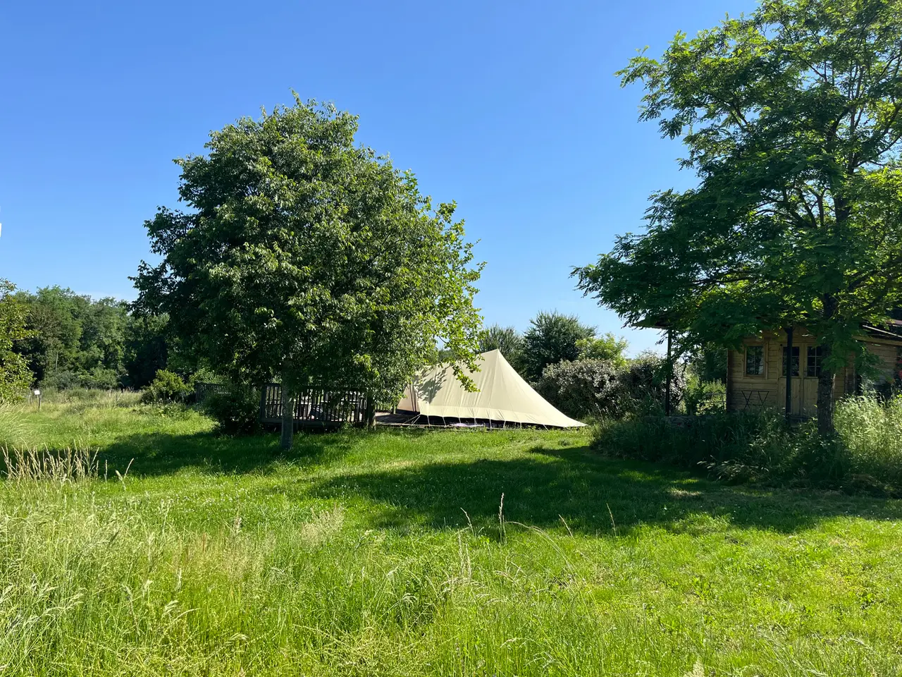 Amande au Domaine les Gonies, Mauroux : image 2