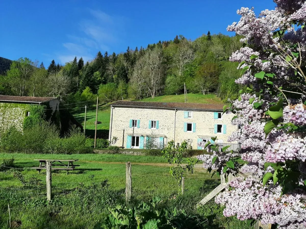 Au Mohair des Alpy, Fougax-et-Barrineuf : image 5