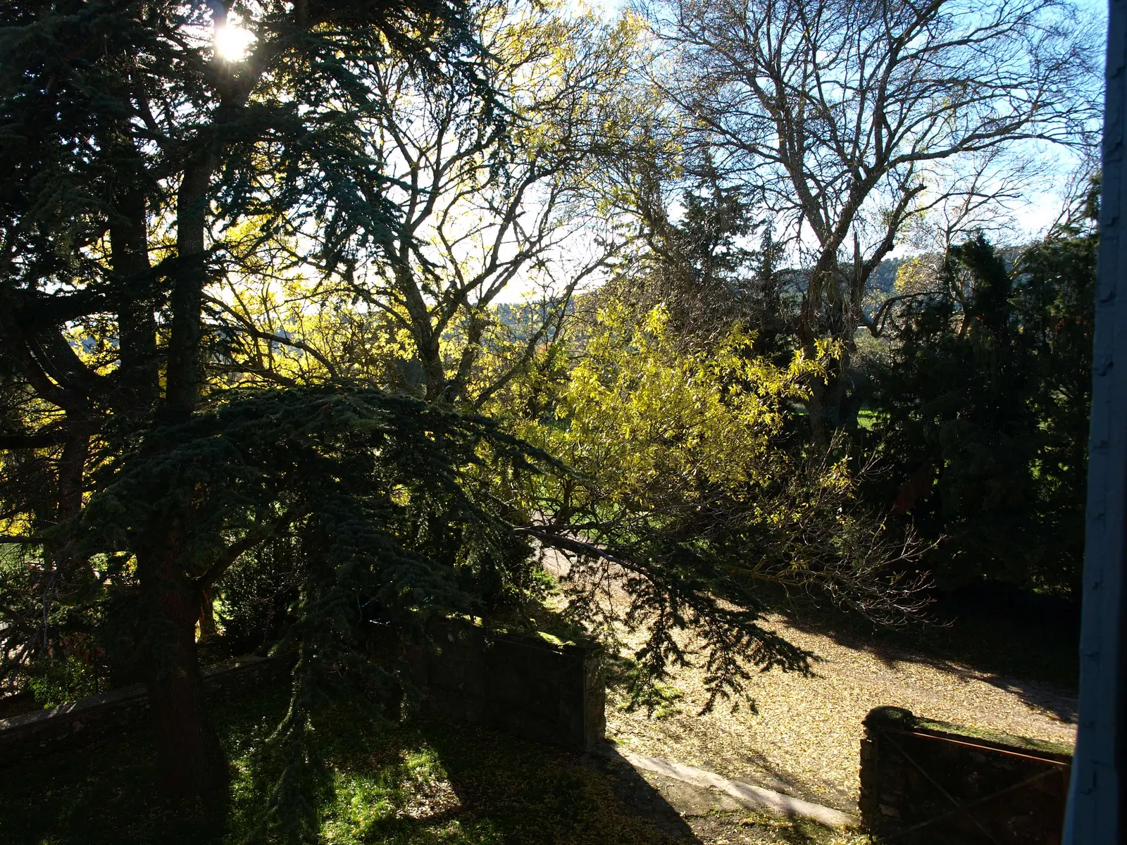 Bassegat Nature, Fox-Amphoux : image 3