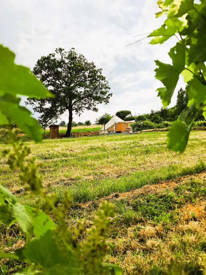 Bivouac de la Plante, Saint-Aubin-de-Branne : image 4