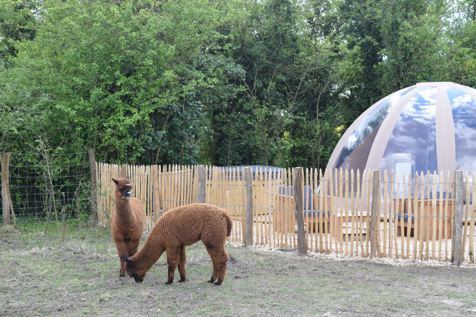 Bulle de Nature, Tuffalun : image 2