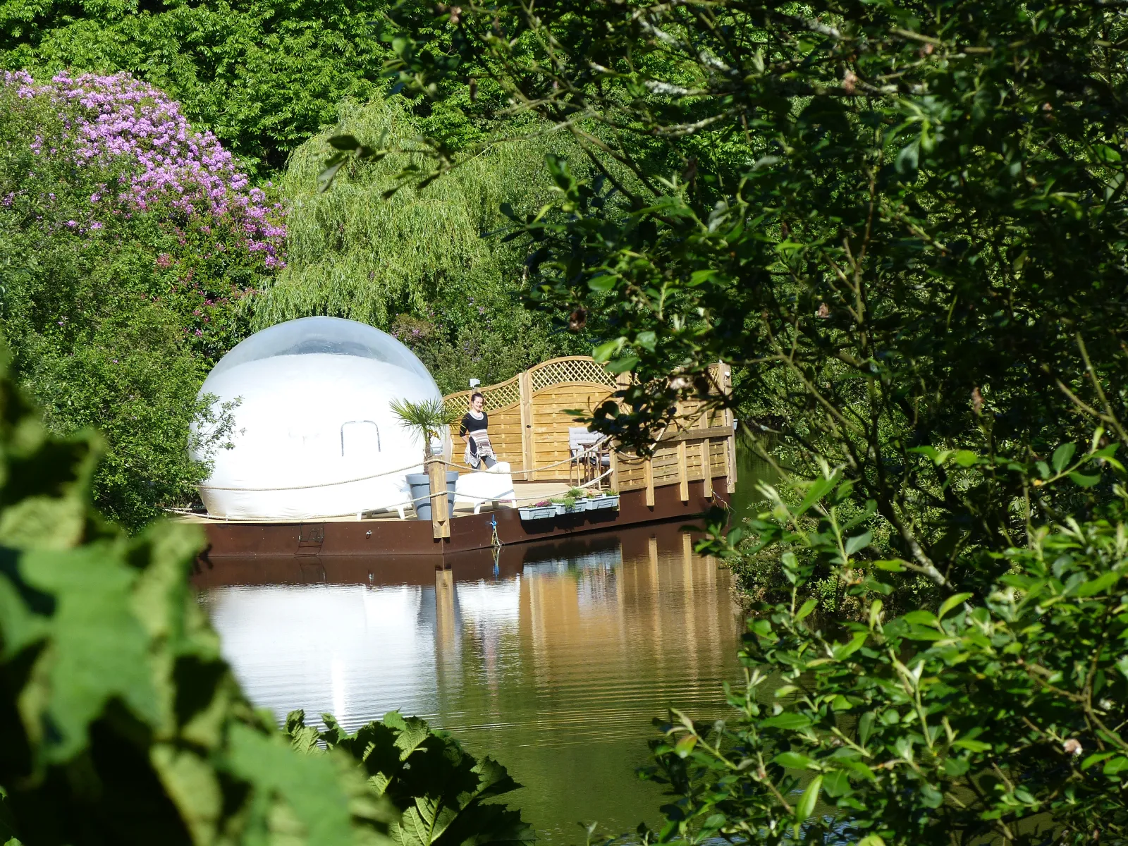 Bulle Spa du Domaine Rêves Étoilés, La Roche-Maurice : image 5