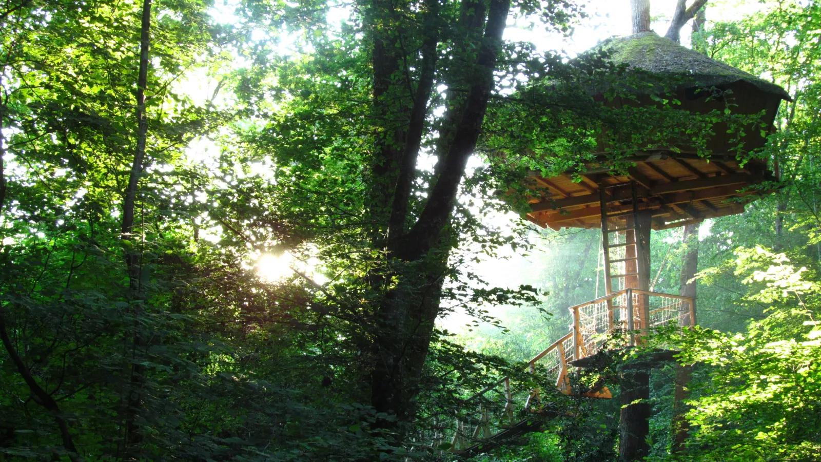 Cabane Amazonie (hébergement insolite à la ferme), Magné