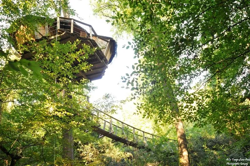 Cabane Amazonie, Magné : image 3