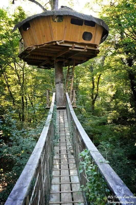 Cabane Amazonie, Magné : image 4