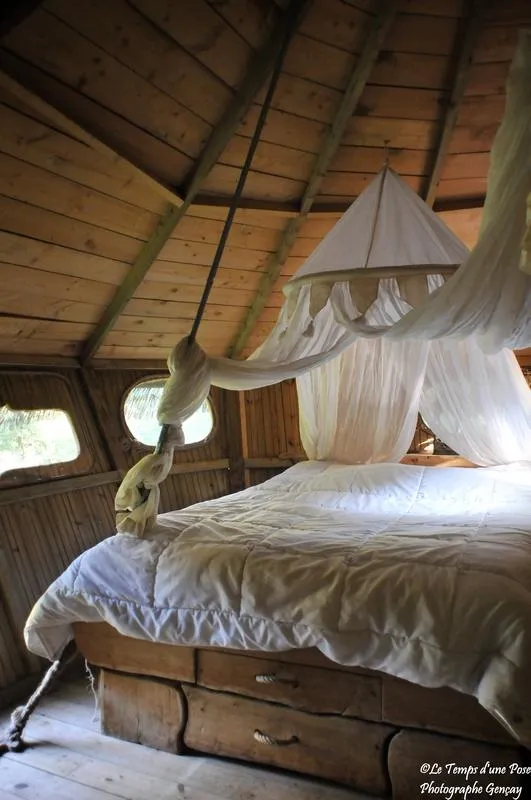Cabane Amazonie, Magné : image 5
