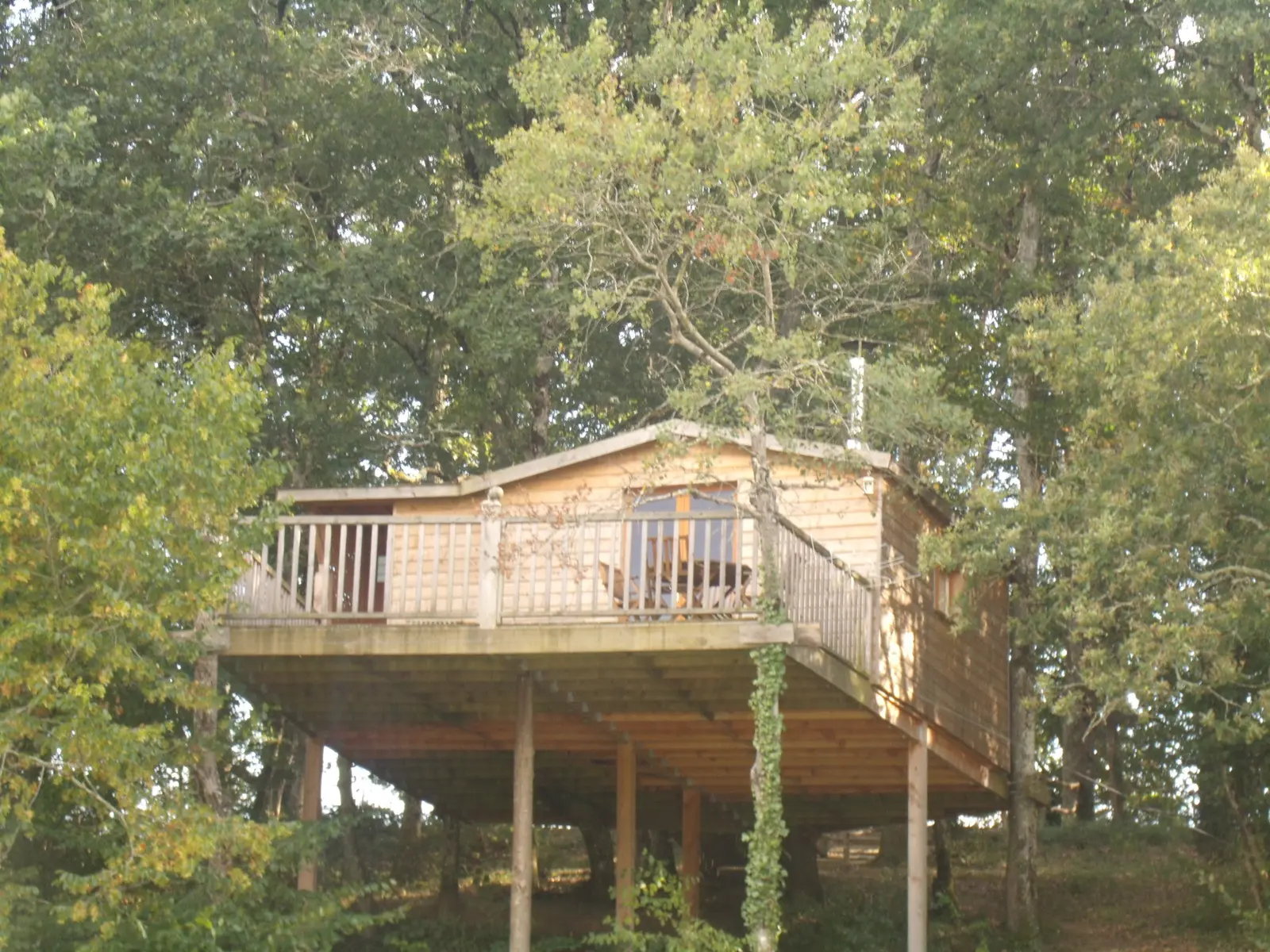 Cabane Anne (hébergement insolite à la ferme), Pouylebon