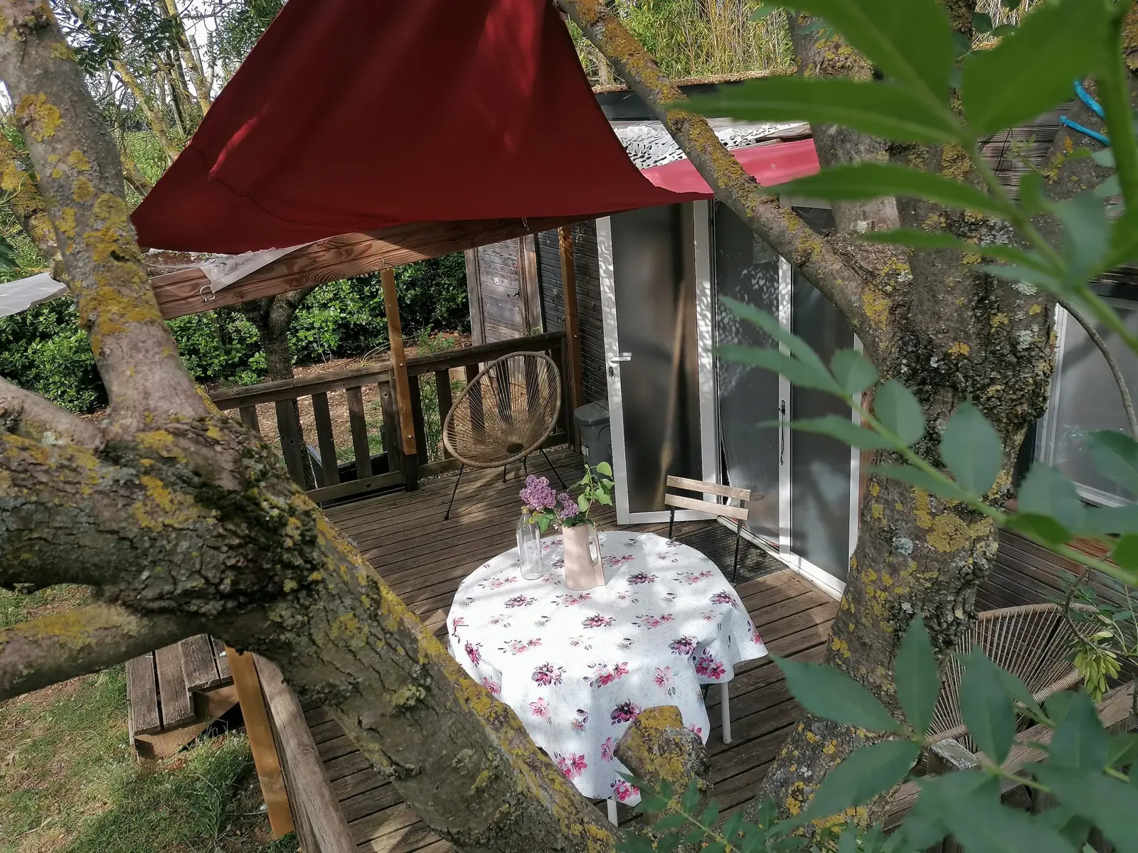 Cabane Barbabou, Beaucaire : image 2