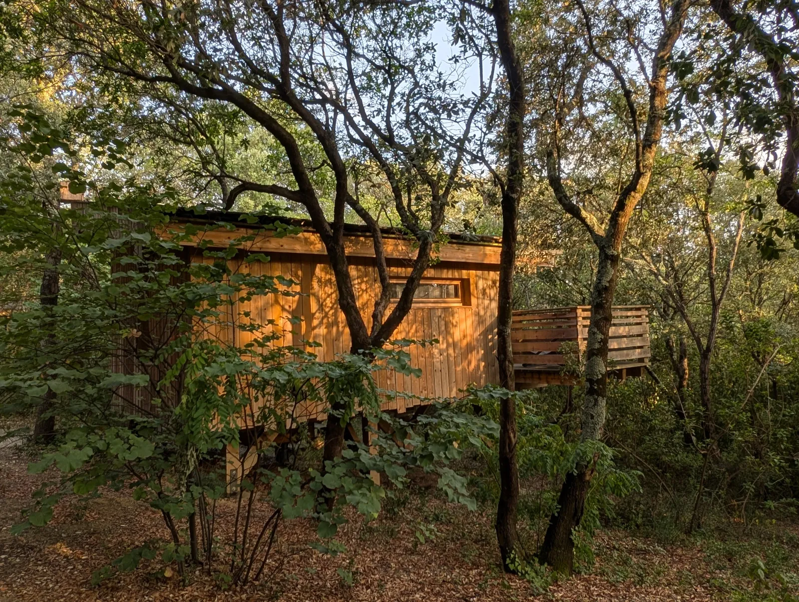 Cabane Cagna des Cabanes dans les Bois (hébergement insolite à la ferme), Villalier