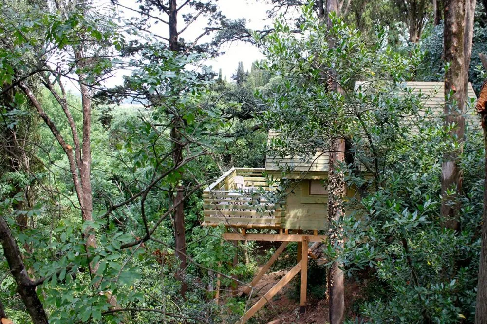 Cabane Cahute, Villalier : image 3