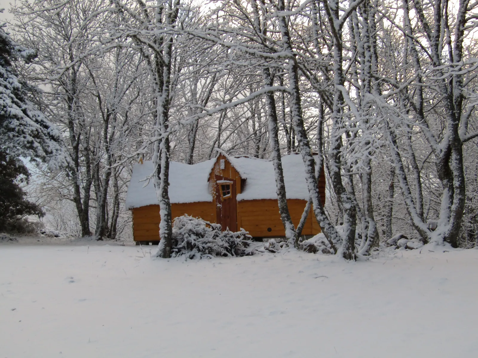 Cabane Carabosse (hébergement insolite à la ferme), Cros-de-Géorand