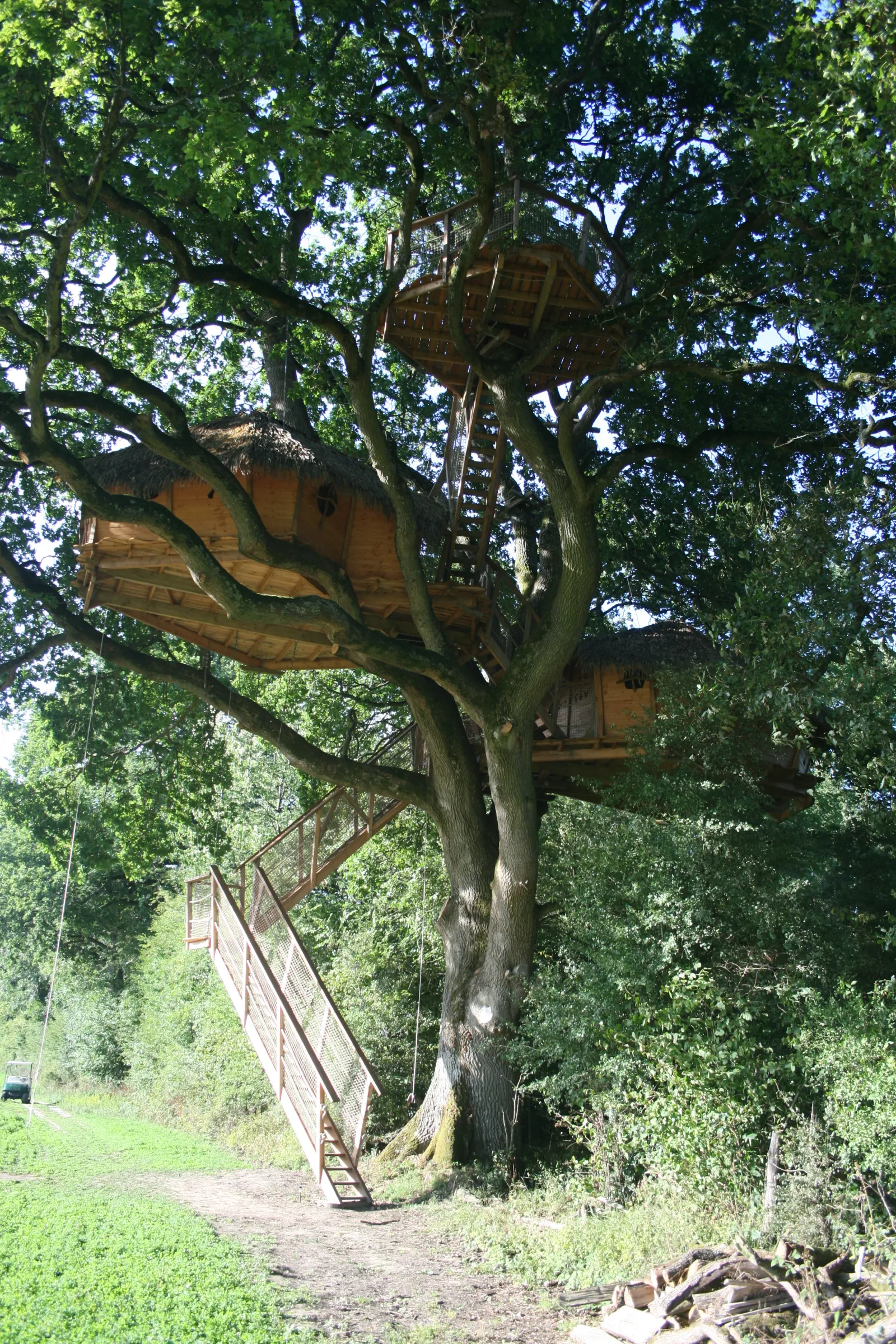 Cabane Chêne Fou de la Grande Noë, Longny les Villages : image 4