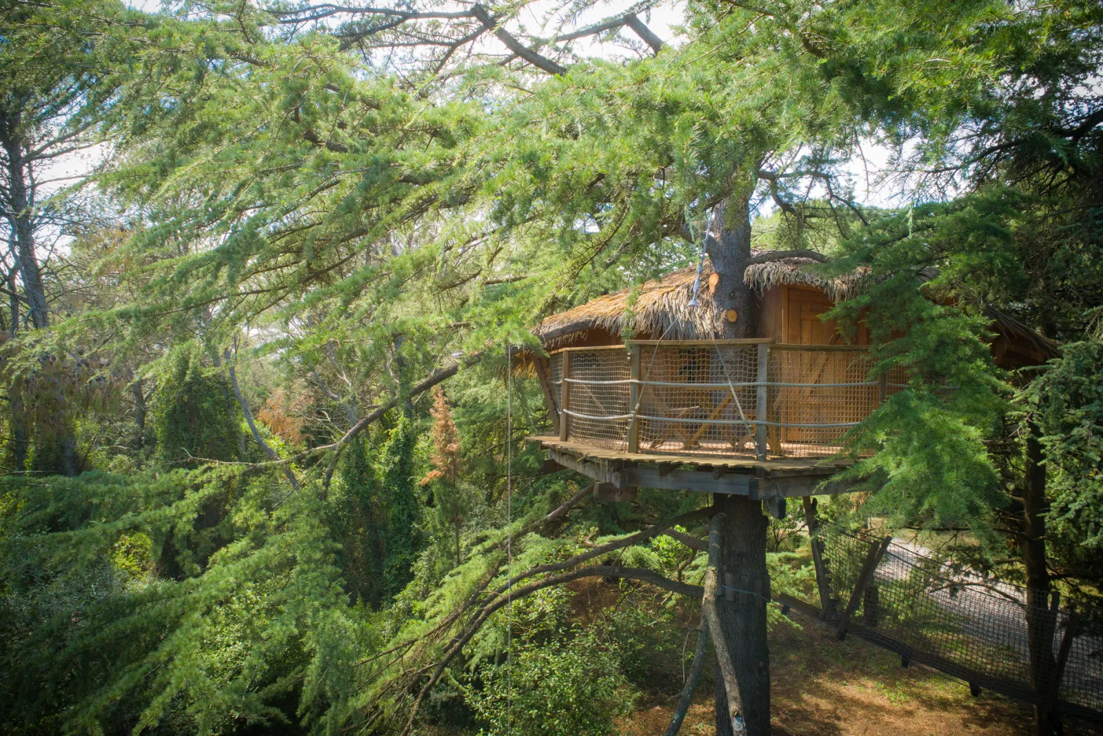 Cabane Crécerelle, Castries : image 2