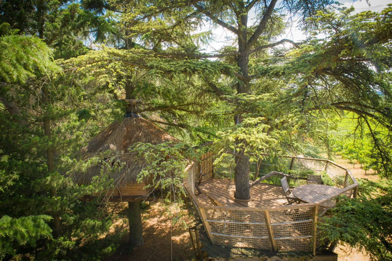 Cabane Crécerelle, Castries : image 5
