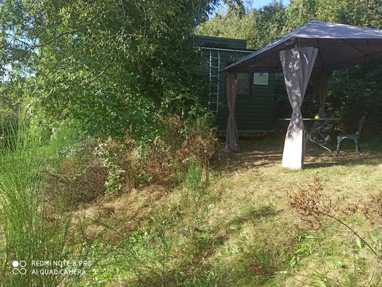 Cabane dans l'arbre de Rougifaing, Anould : image 2
