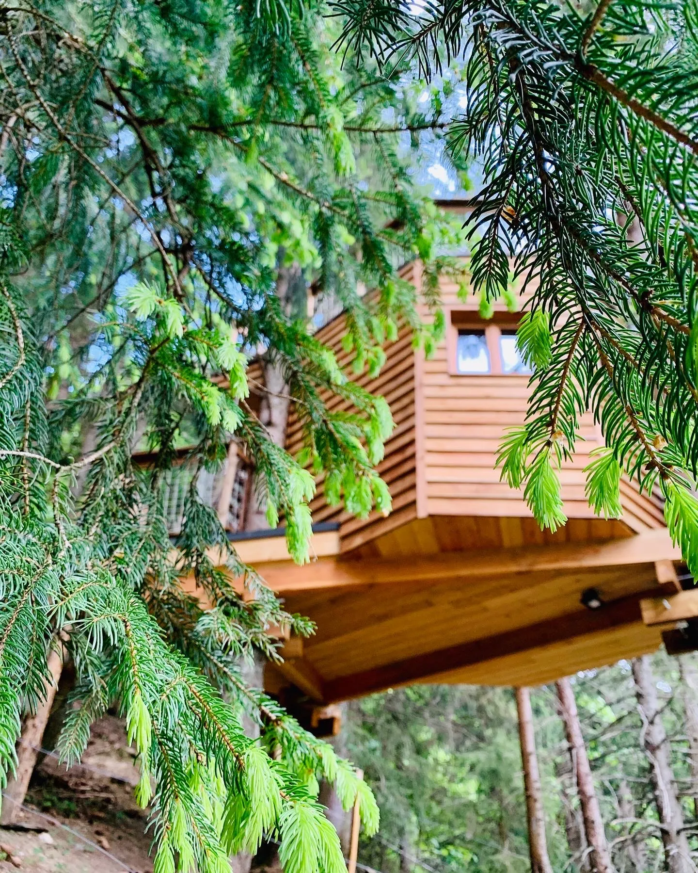 Cabane dans les Arbres de Valmo'Insolite (hébergement insolite à la ferme), Les Avanchers-Valmorel