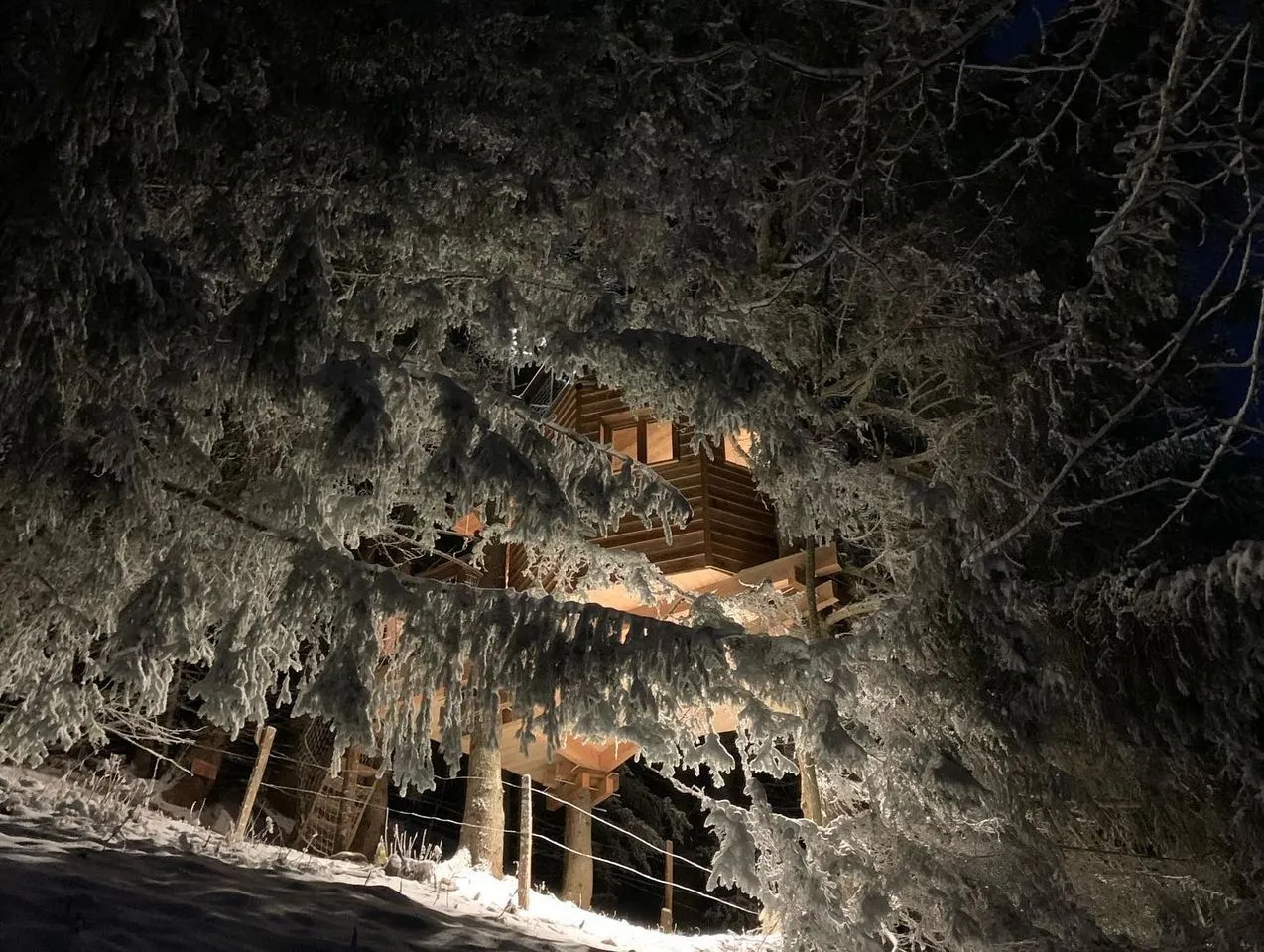 Cabane dans les Arbres de Valmo'Insolite, Les Avanchers-Valmorel : image 3
