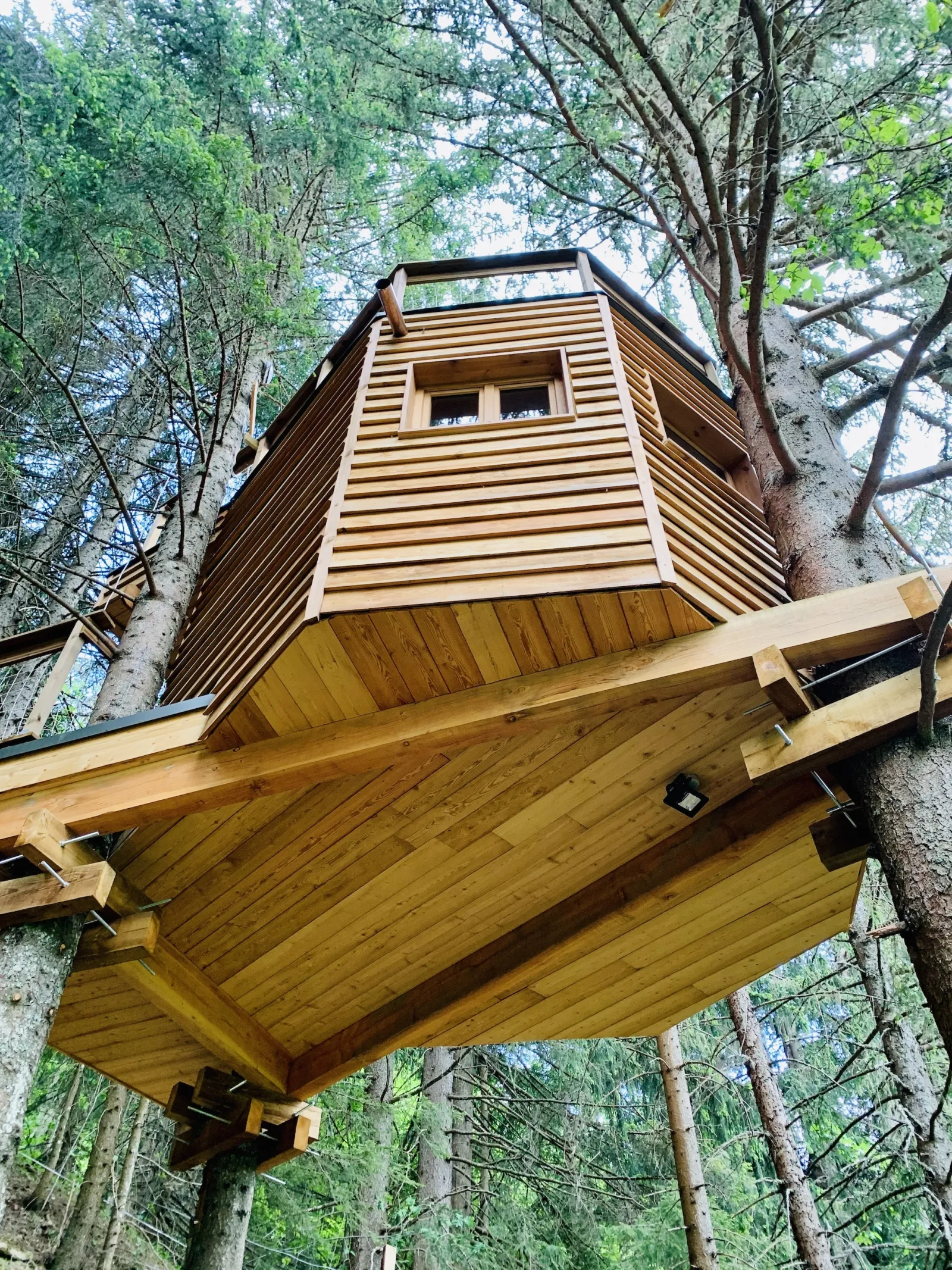 Cabane dans les Arbres de Valmo'Insolite, Les Avanchers-Valmorel : image 5