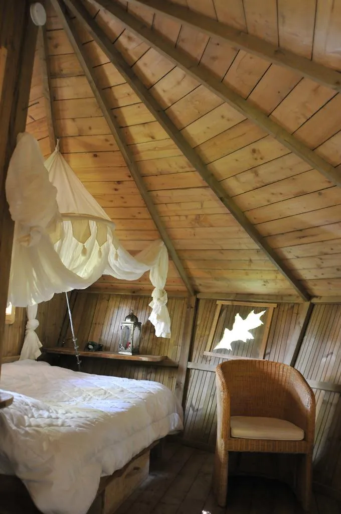 Cabane de la Canopée, Magné : image 2