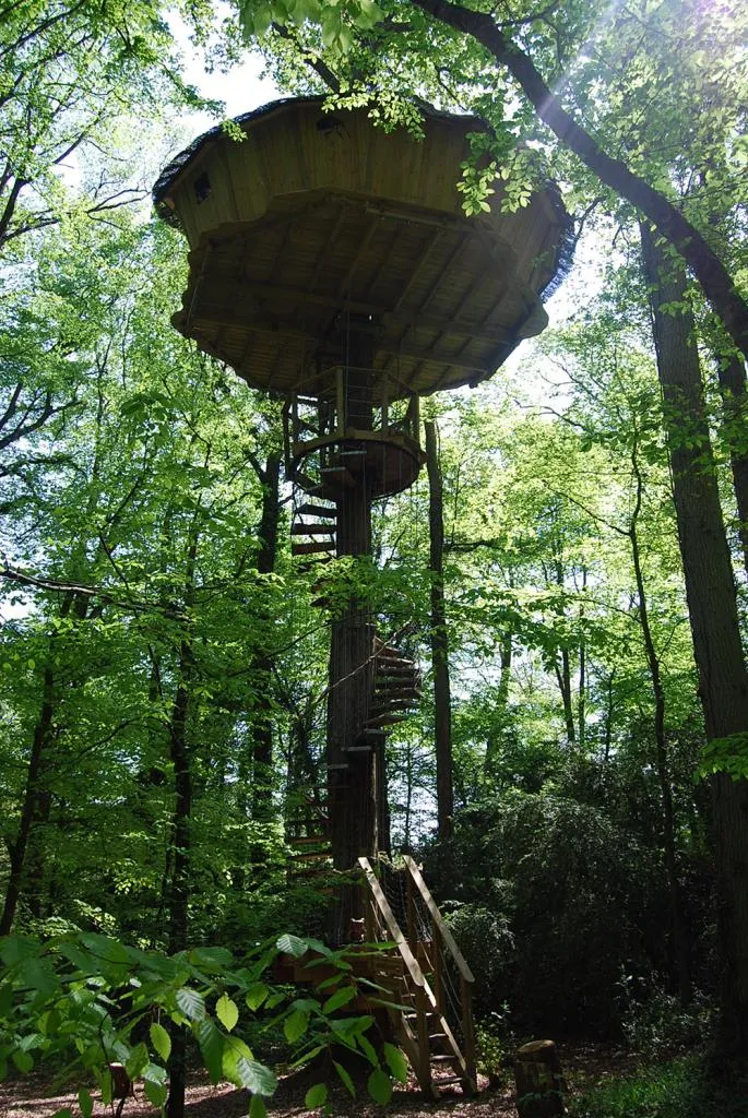 Cabane de la Canopée, Magné : image 4