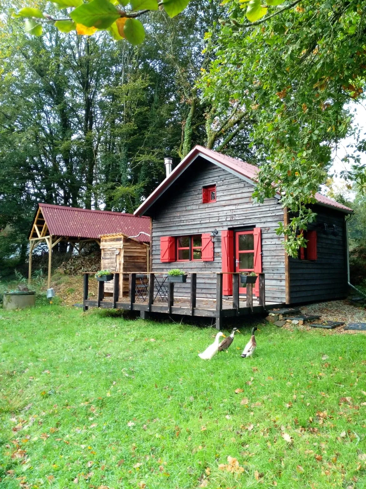 Cabane de la Ferme du Séquoia, Paule : image 2