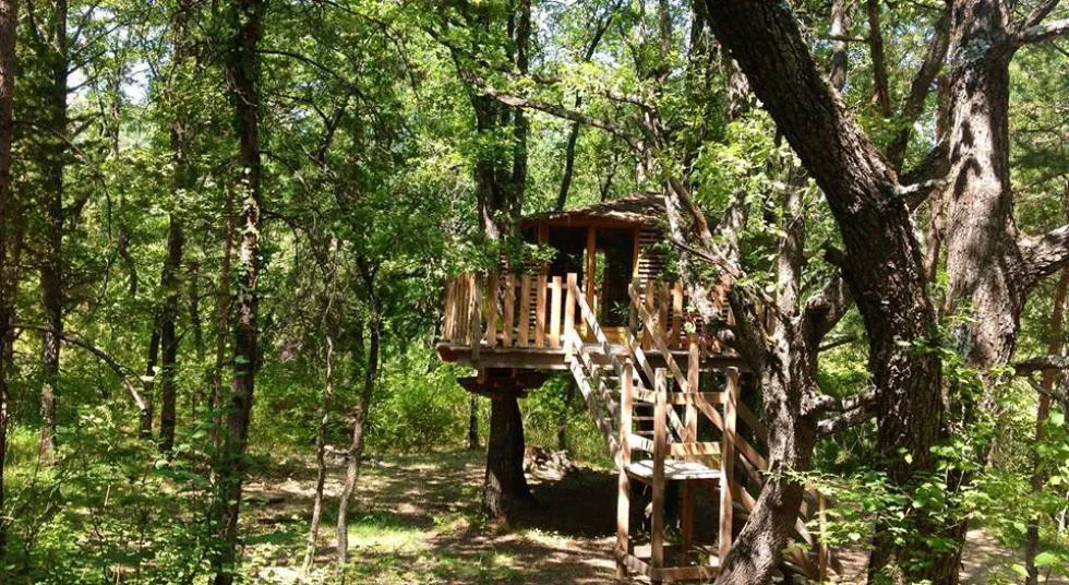 Cabane de Manon (hébergement insolite à la ferme), Beynes