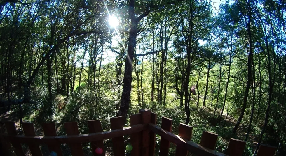 Cabane de Manon, Beynes : image 2