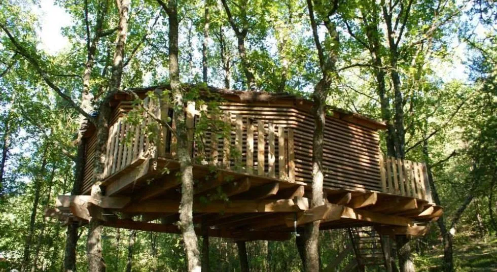 Cabane de Manon, Beynes : image 5