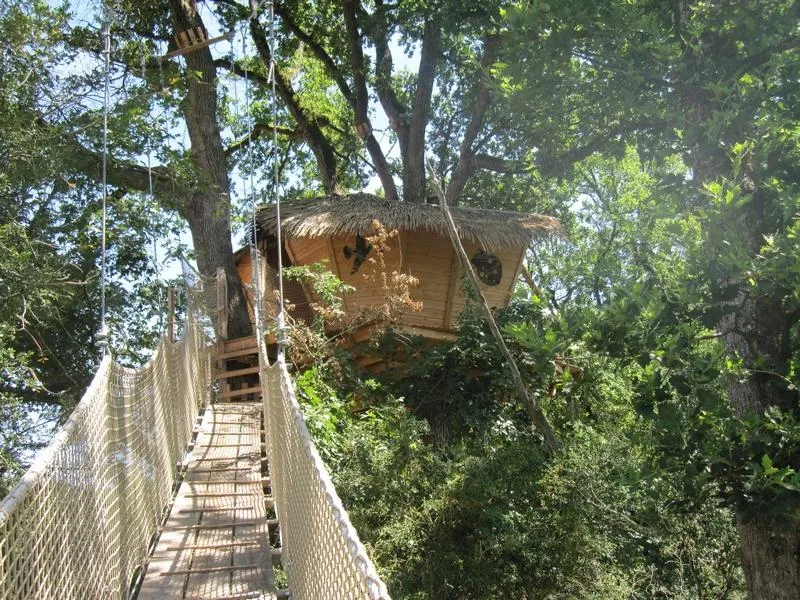 Cabane des Buis (hébergement insolite à la ferme), Magné