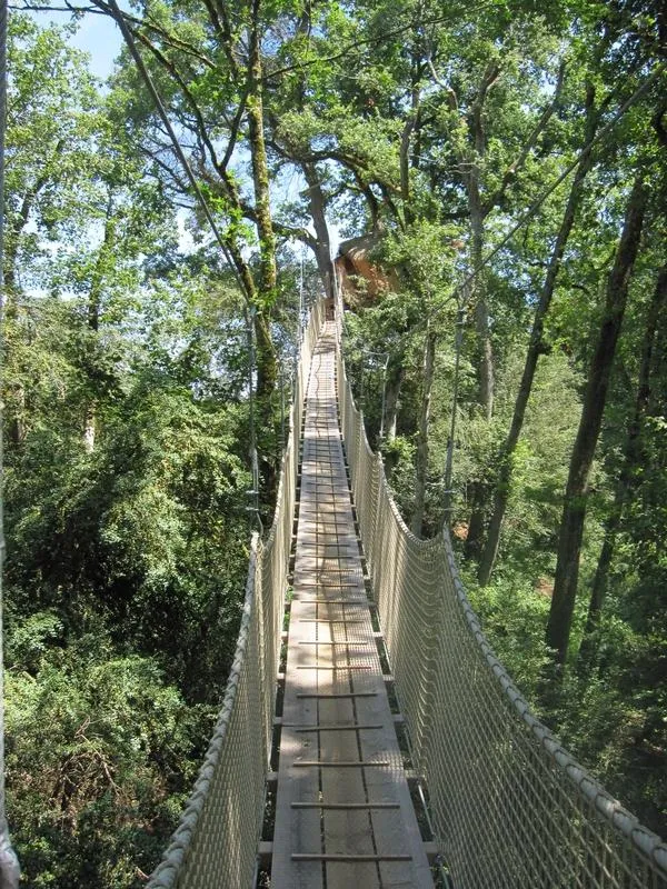 Cabane des Buis, Magné : image 3