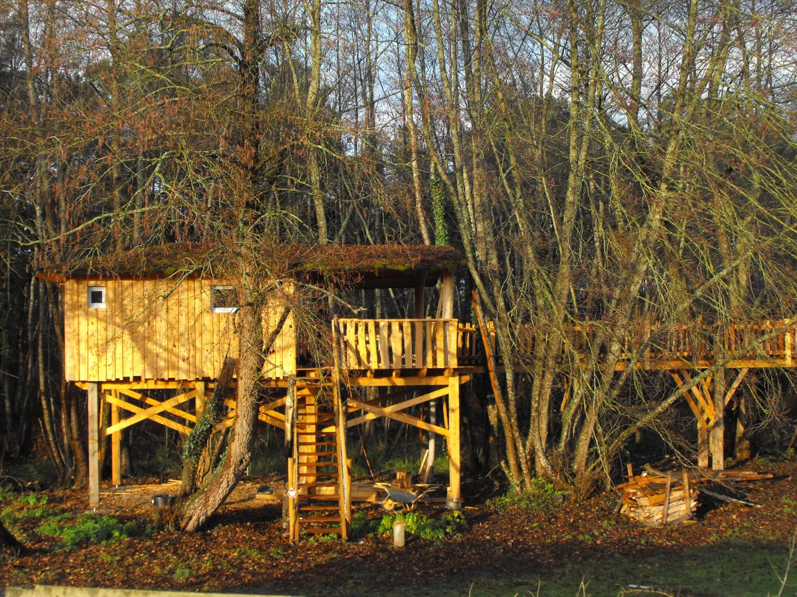 Cabane des Cerfs (hébergement insolite à la ferme), Allons