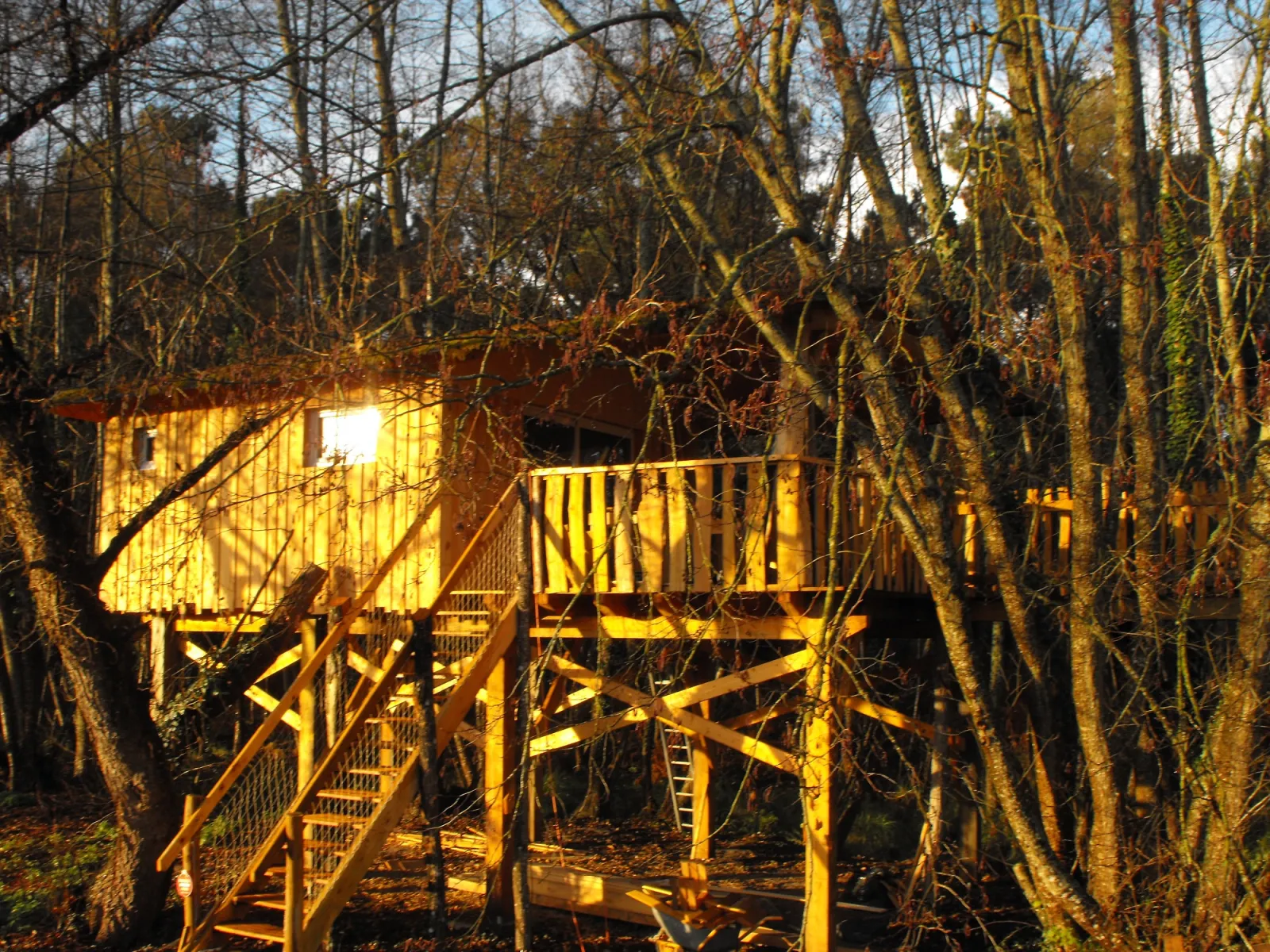 Cabane des Cerfs, Allons : image 2