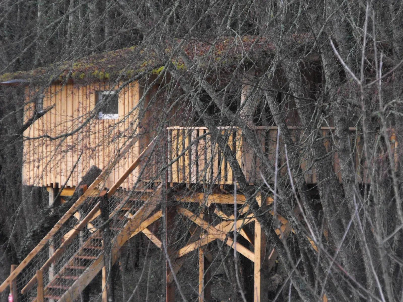 Cabane des Cerfs, Allons : image 4