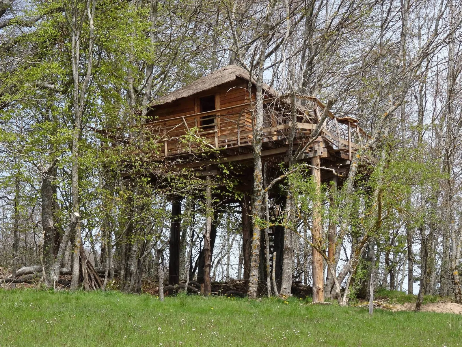 Cabane des Fayards (hébergement insolite à la ferme), Saint-Agrève
