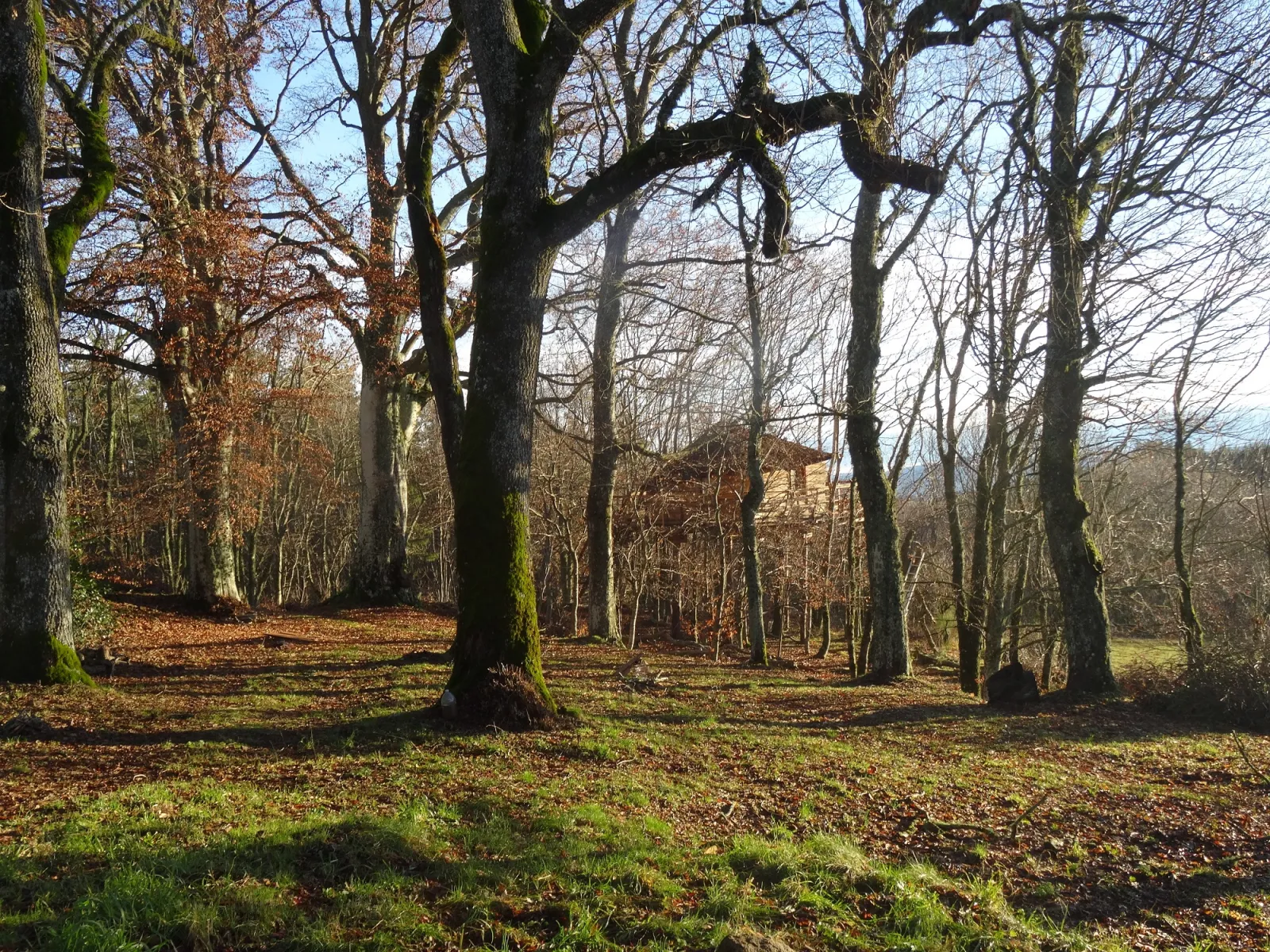Cabane des Fayards, Saint-Agrève : image 2