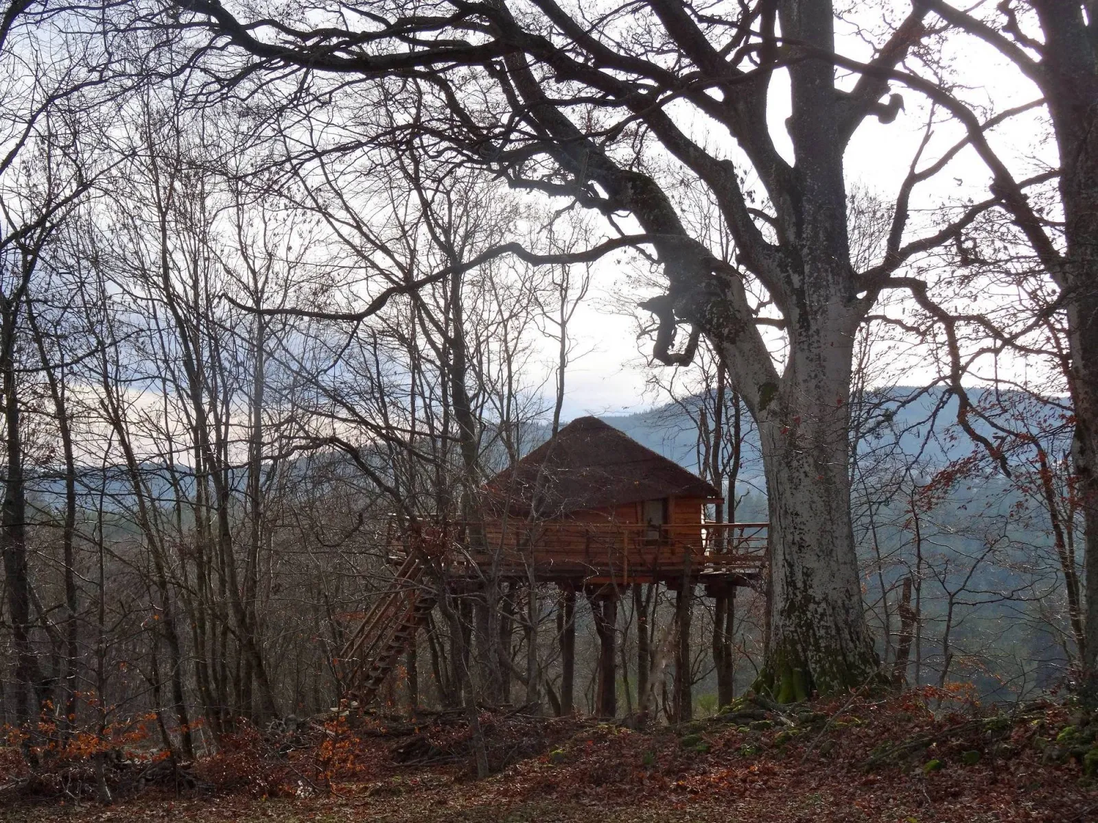 Cabane des Fayards, Saint-Agrève : image 3