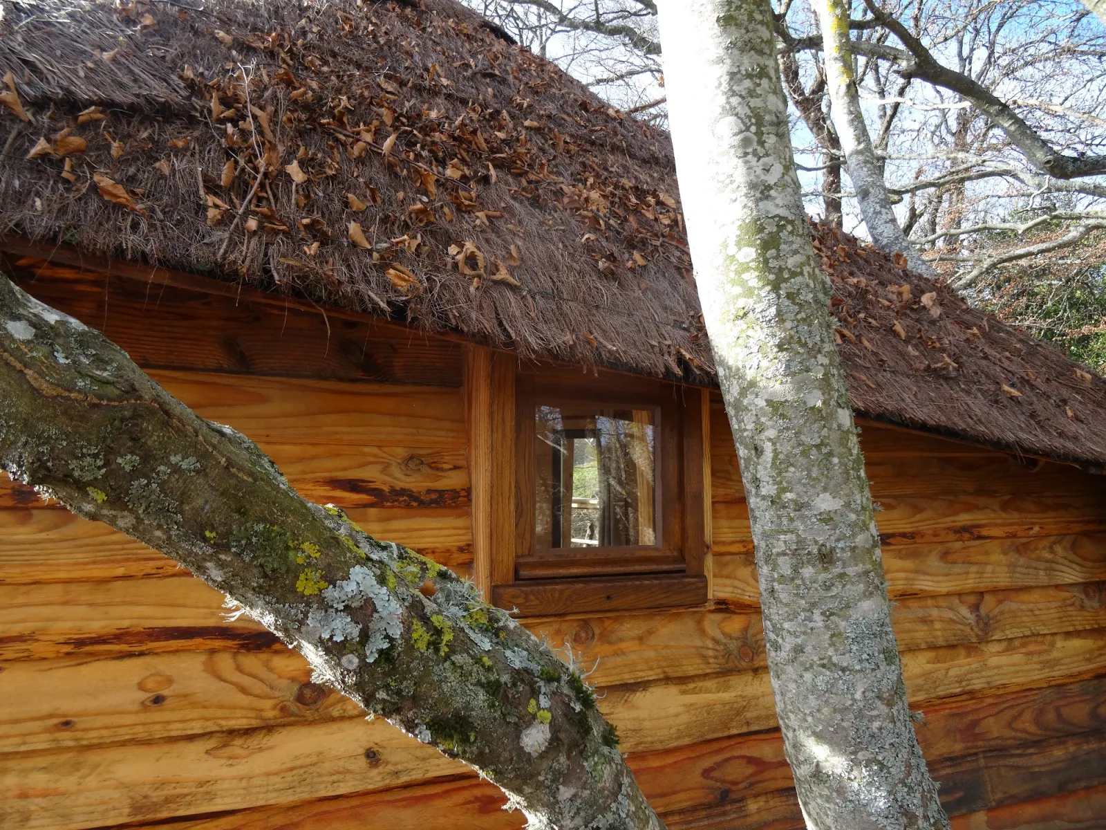 Cabane des Fayards, Saint-Agrève : image 4