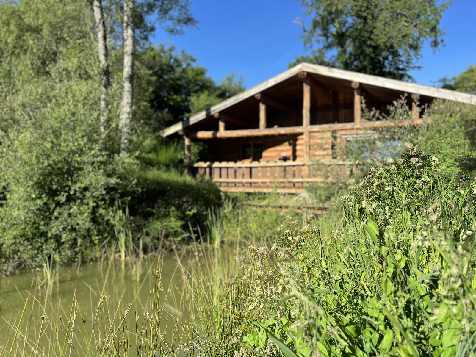 Cabane du Pêcheur, Roches : image 5