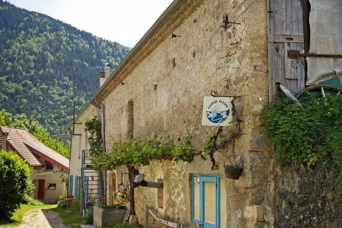 Cabane du Renard, Prébois : image 2
