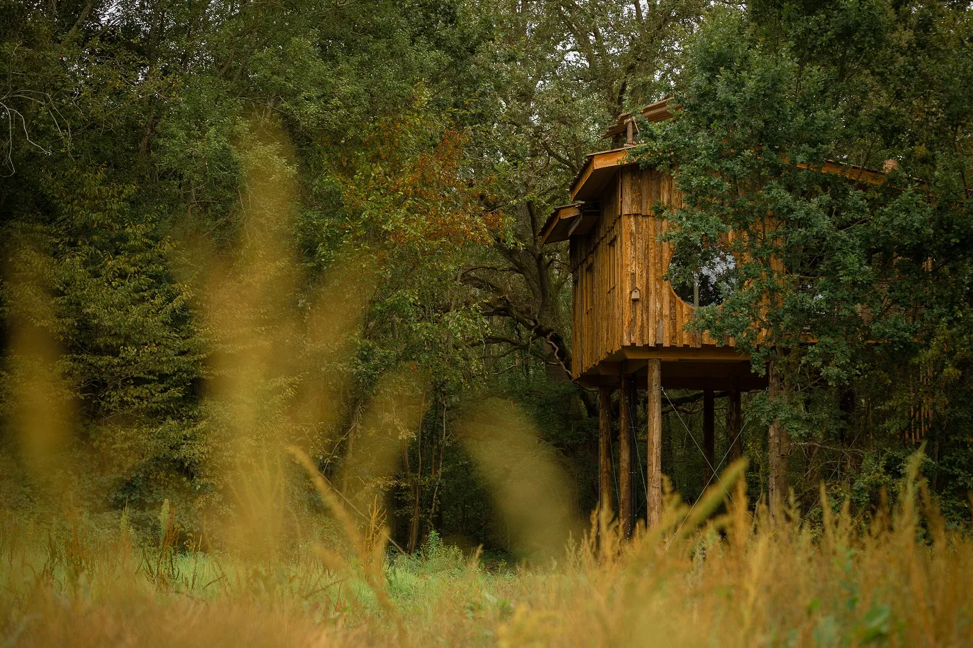 Cabane École Buissonnière, Saint-Léger-aux-Bois : image 4