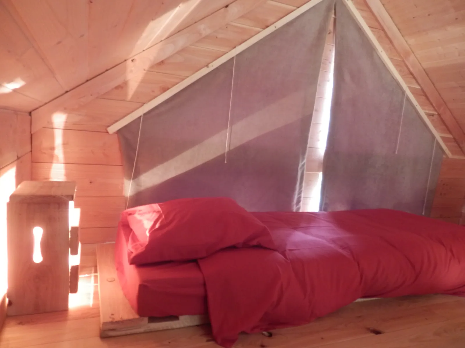 Cabane écolodge du Plessis, Broye : image 4