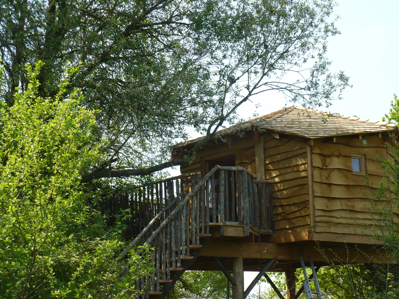 Cabane Écureuil de Family Ecolodge (hébergement insolite à la ferme), Batilly-en-Puisaye
