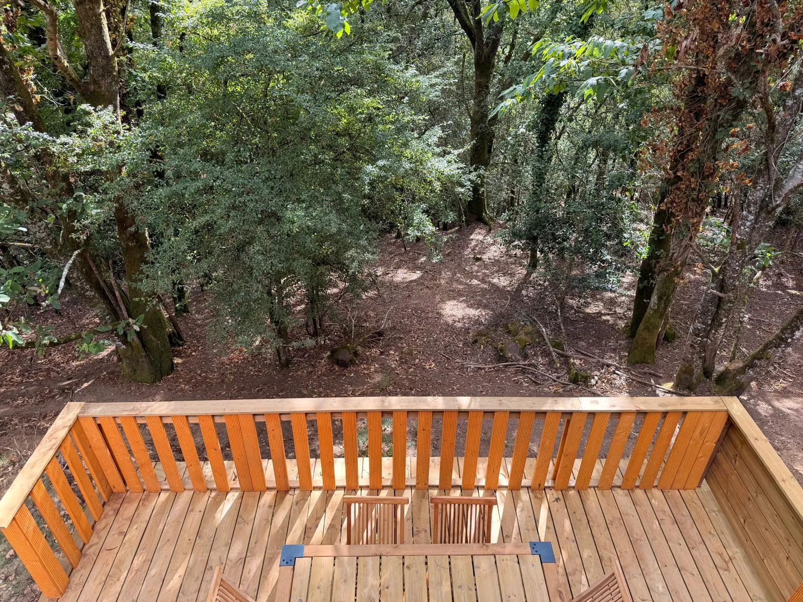 Cabane en A de Koadou, Pluméliau-Bieuzy : image 3