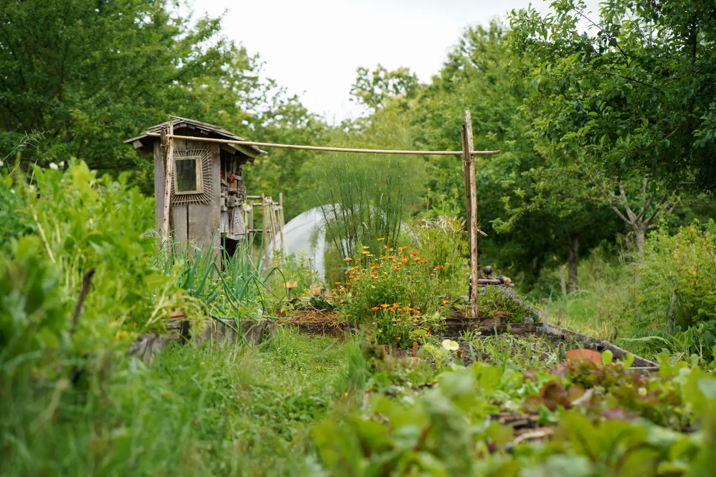 Cabane en terre-paille de la Goursaline (hébergement insolite à la ferme), Bussière-Galant
