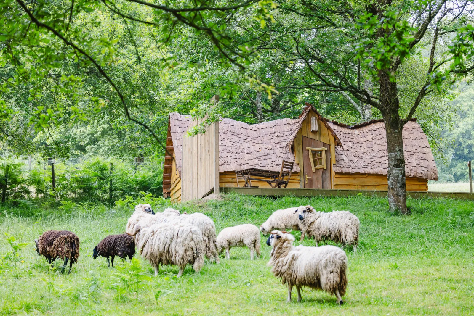 Cabane Enchantée, Pluméliau-Bieuzy : image 3