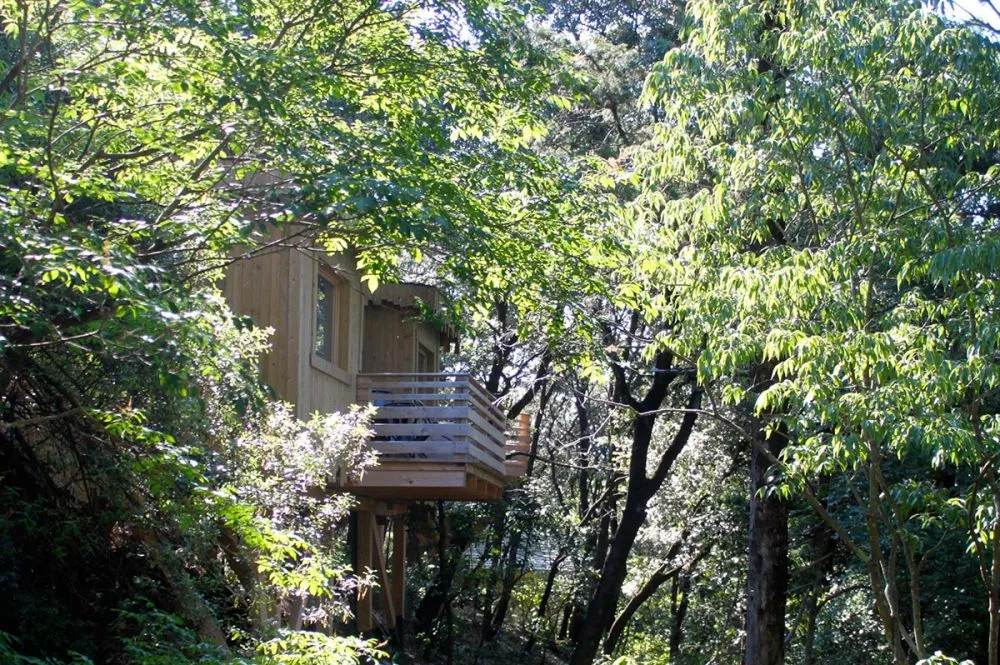 Cabane Fresnes des Cabanes dans les Bois, Villalier : image 2