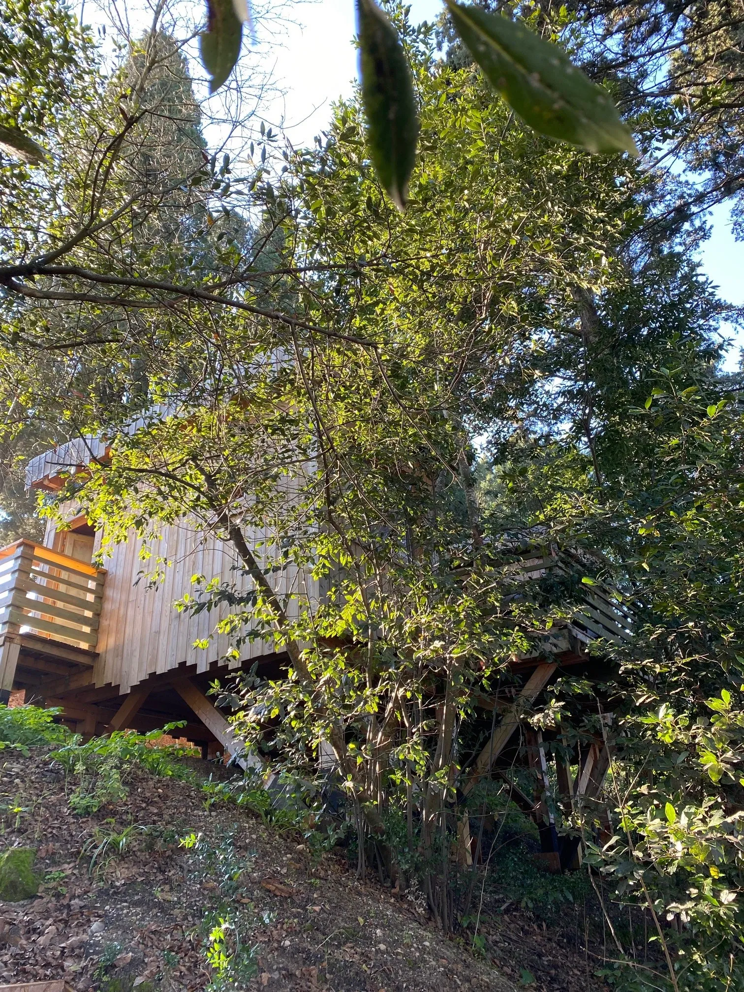 Cabane Fresnes des Cabanes dans les Bois, Villalier : image 5