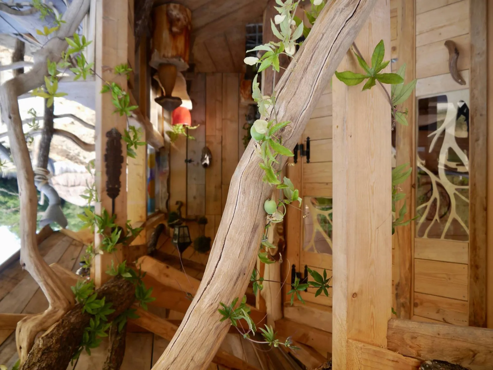 Cabane Gaia, Vittel : image 3