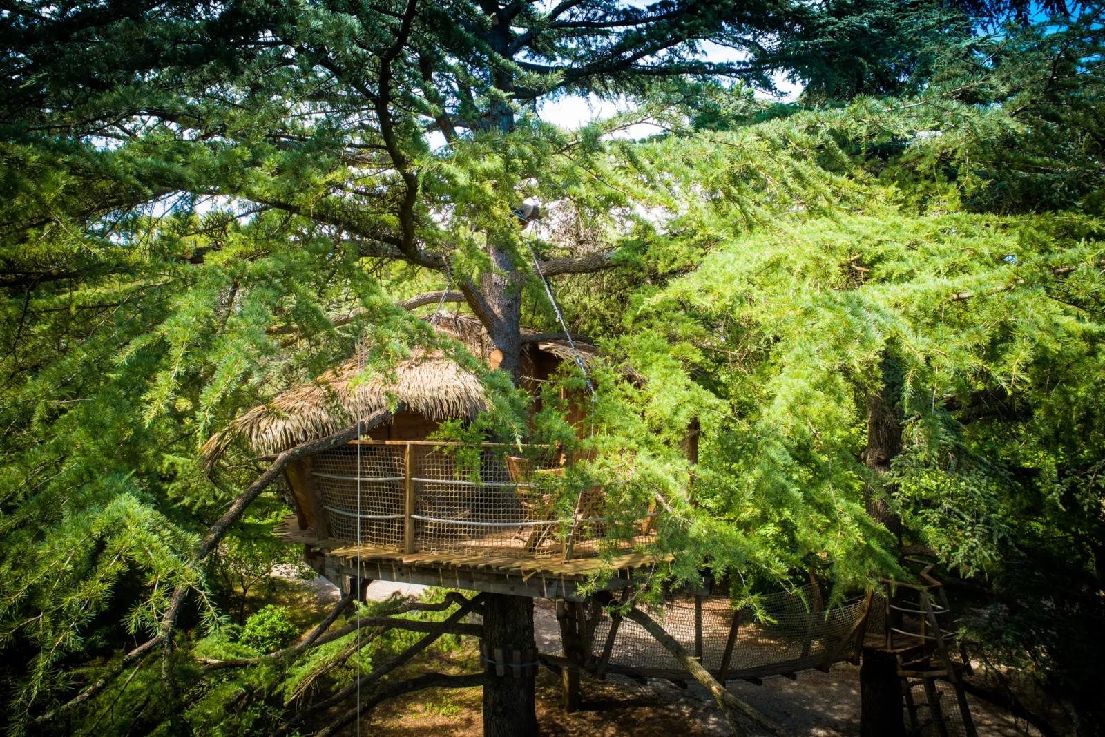 Cabane Grand Duc (hébergement insolite à la ferme), Castries