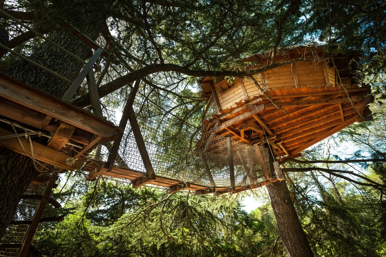 Cabane Grand Duc, Castries : image 2